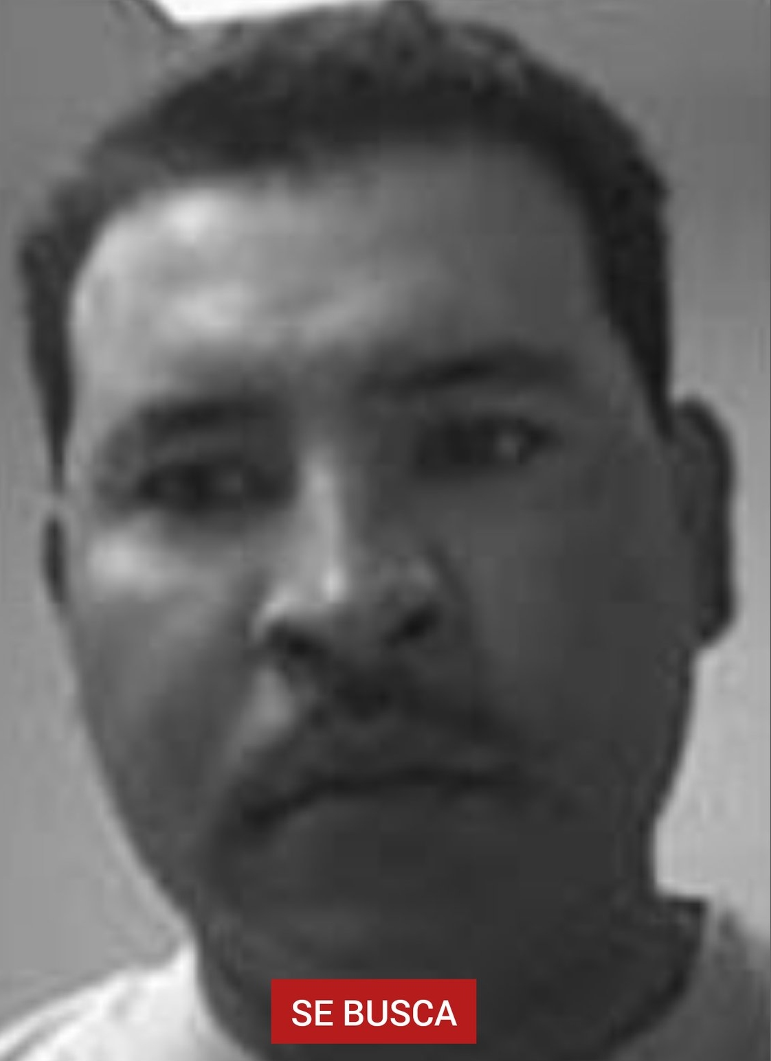 LUPE TAPIA