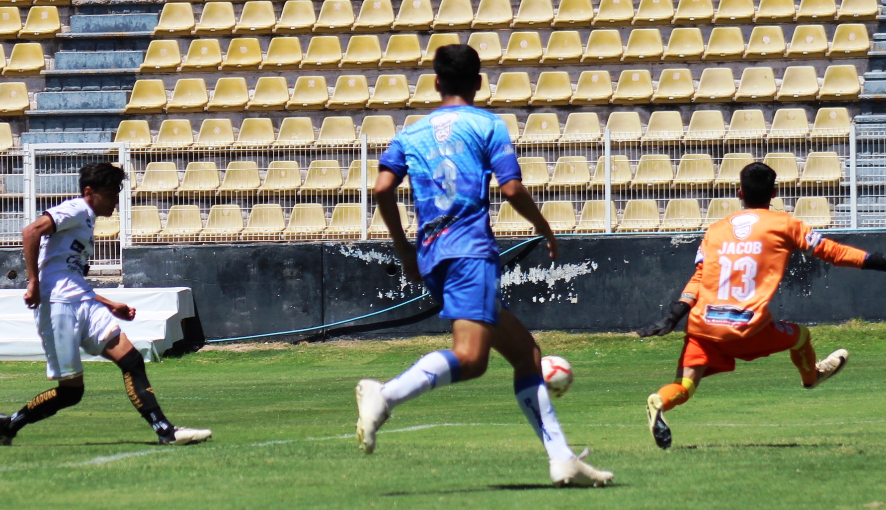 ALDIERI GOL ANTE HALCONES