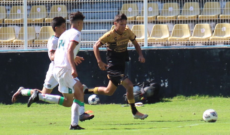 BANDA PORTADA
