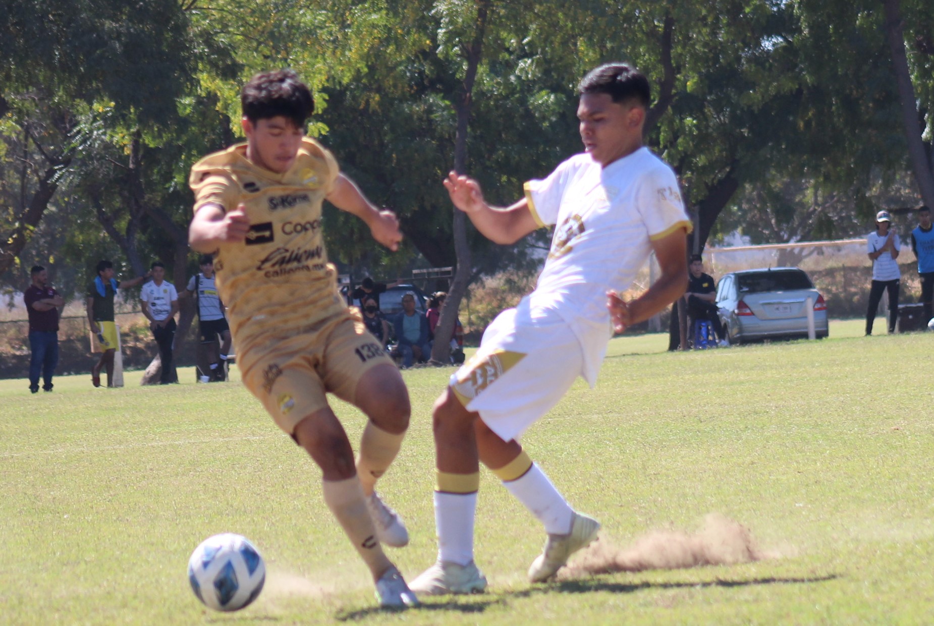 Brayan Jesus Beltrán