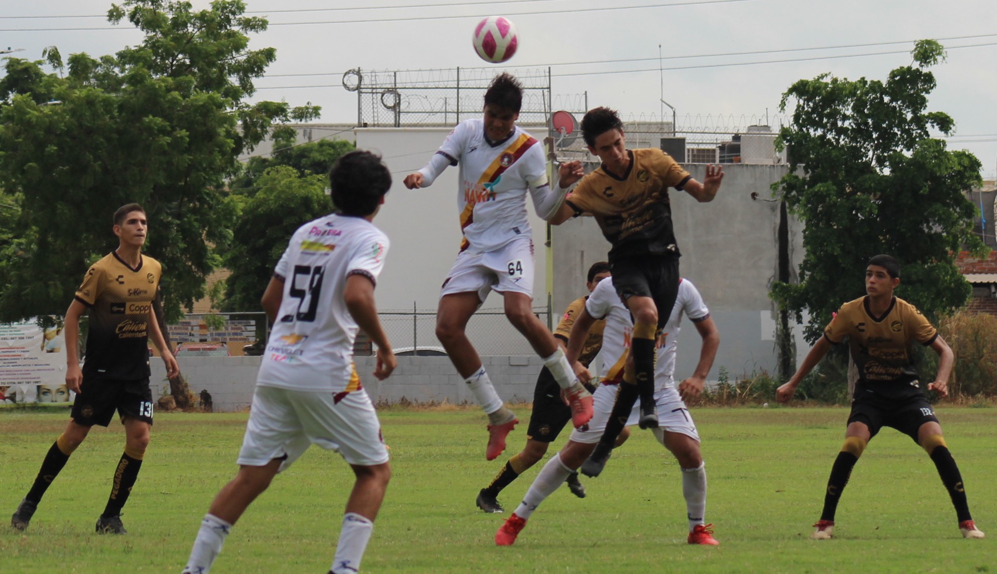Cabeza a ver quien gana