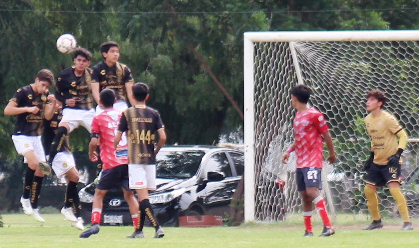 DEFENSAS ANTE NAYARIT