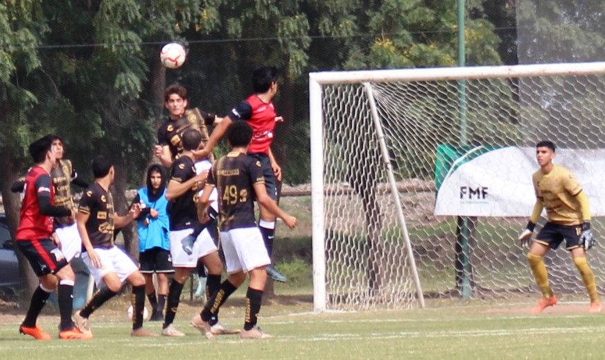 DEFENSAS DOR ANTE MOCHIS