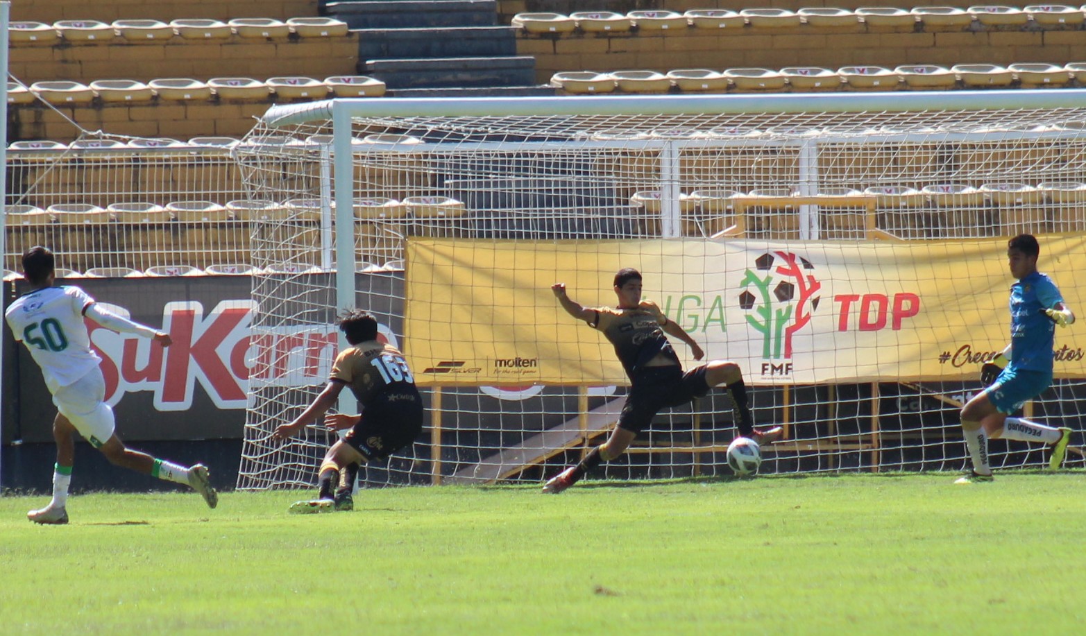 DEFENSA SALVA EN LA LINEA