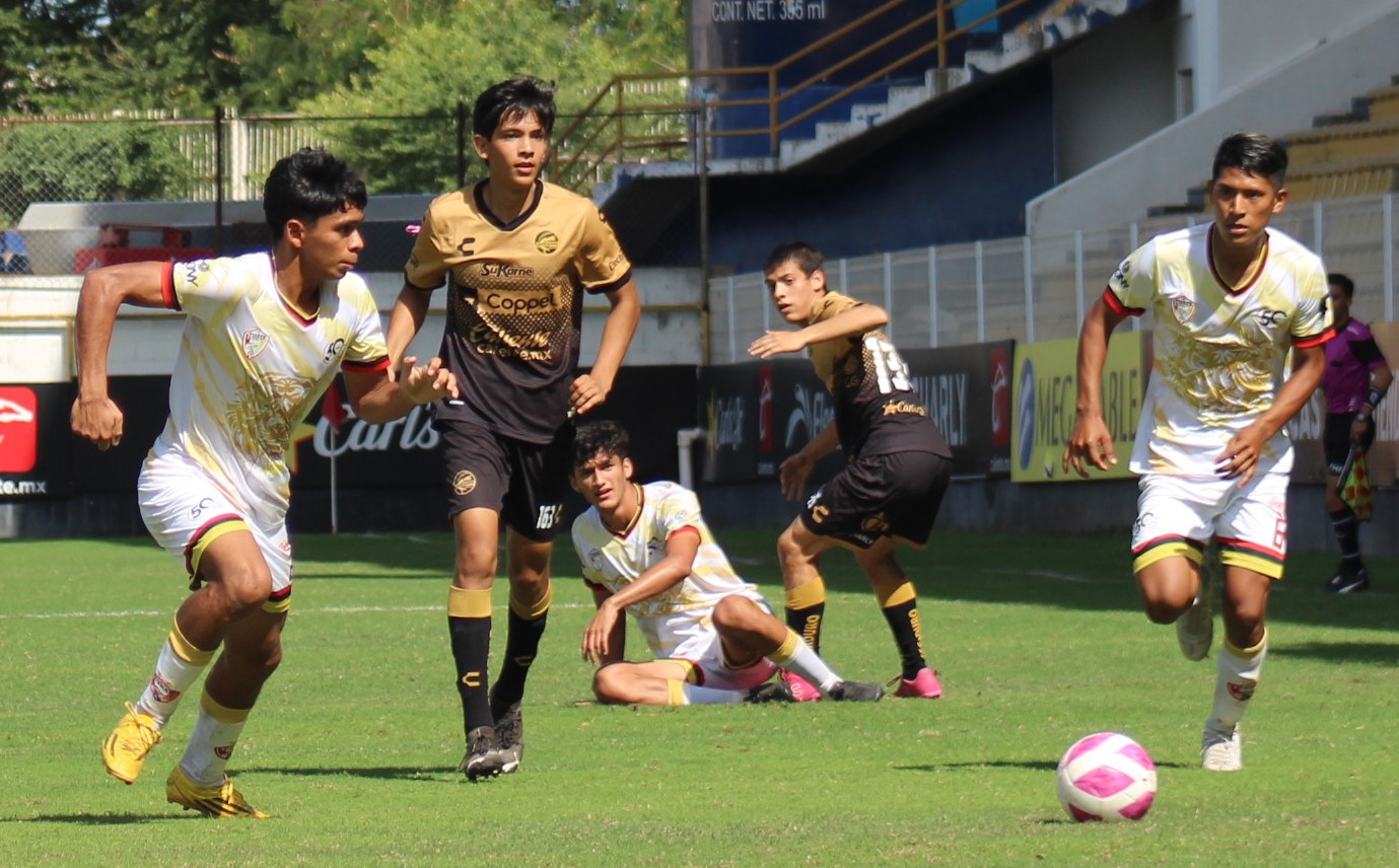 DORADOS ALICA PORTADA
