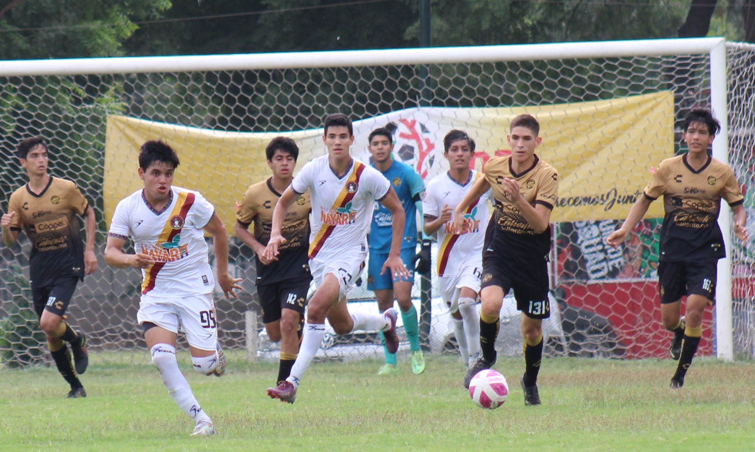 Dor coras saliendo a contragolpe
