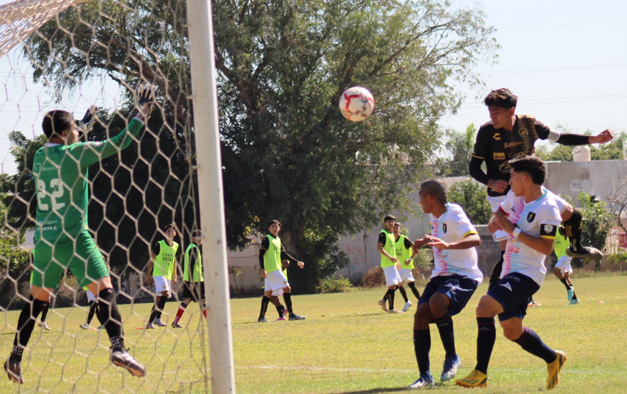 GOL ALDIERI ANTE VALLARTA