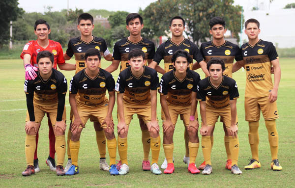 equipo doraditos