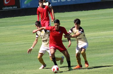 IMG 4259