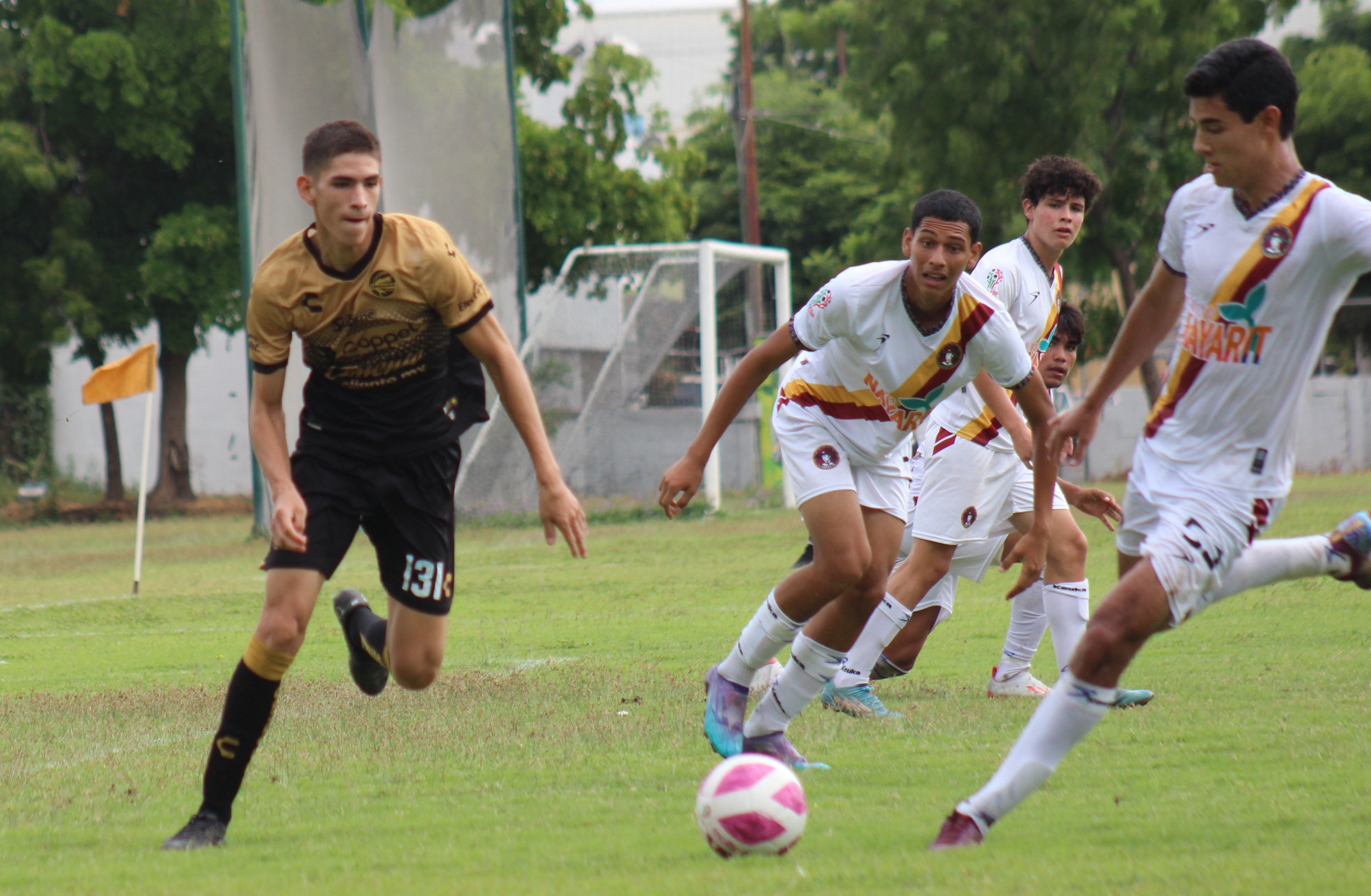 Jonathan Daniel ante Coras