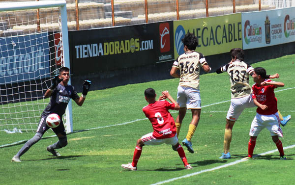 MIrsha casi anota
