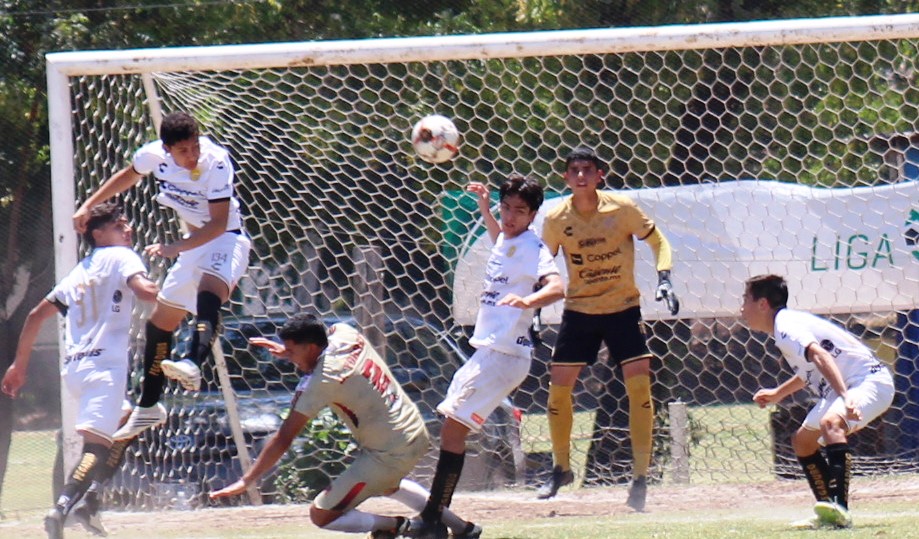 PORTERIA DORADOS DEFENSA