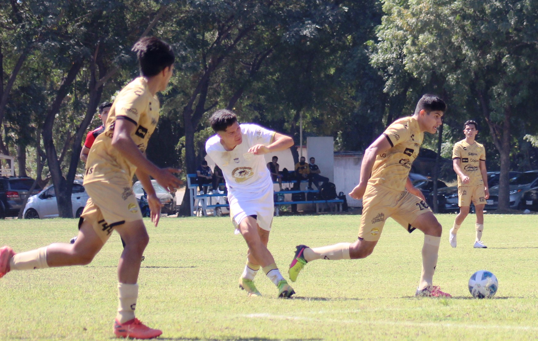 Samuuel Lopez 28