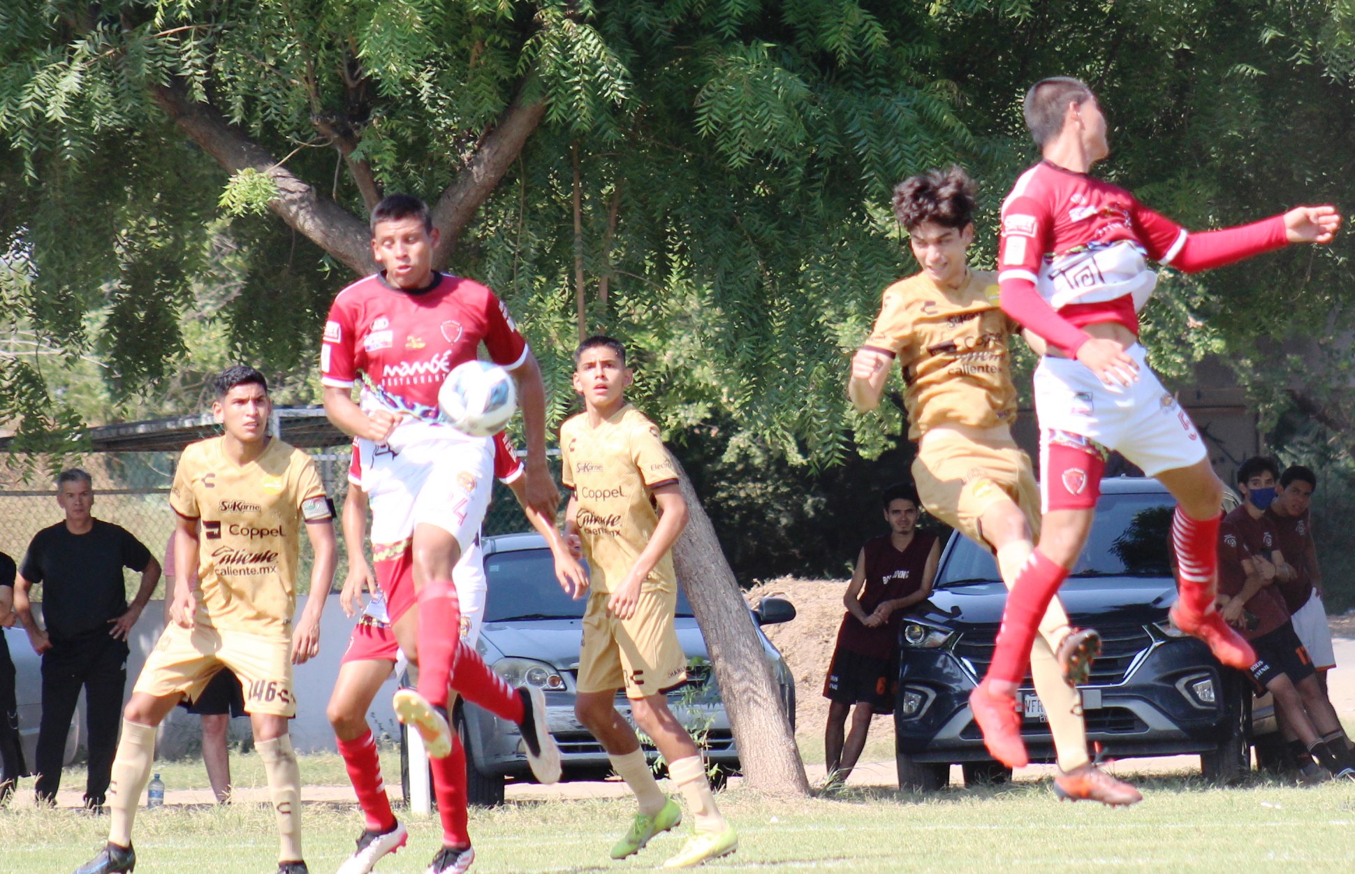 balón enel brazo