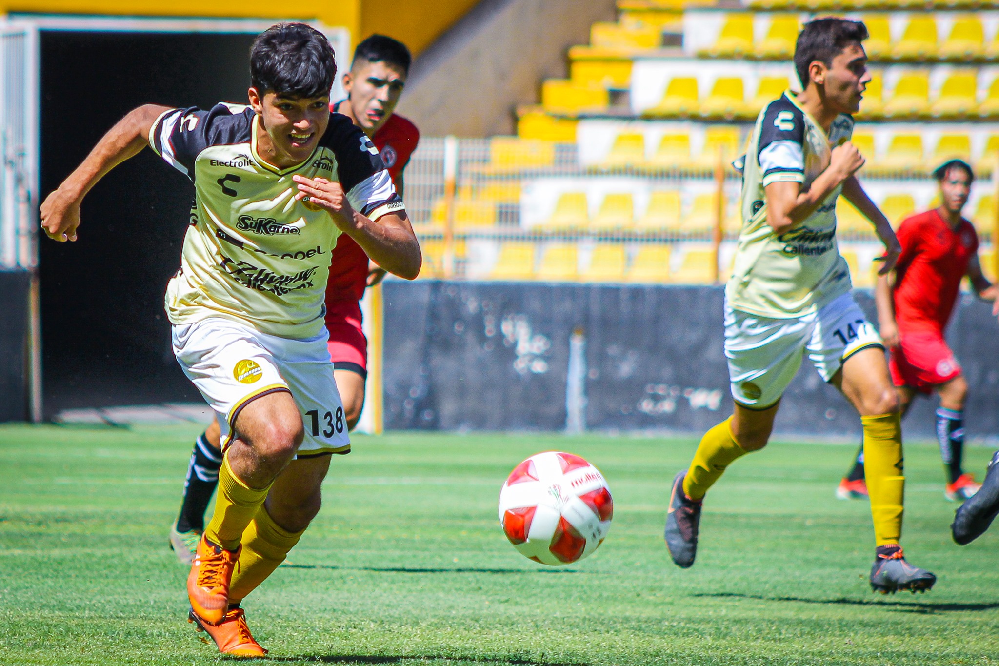 dords xolos 4