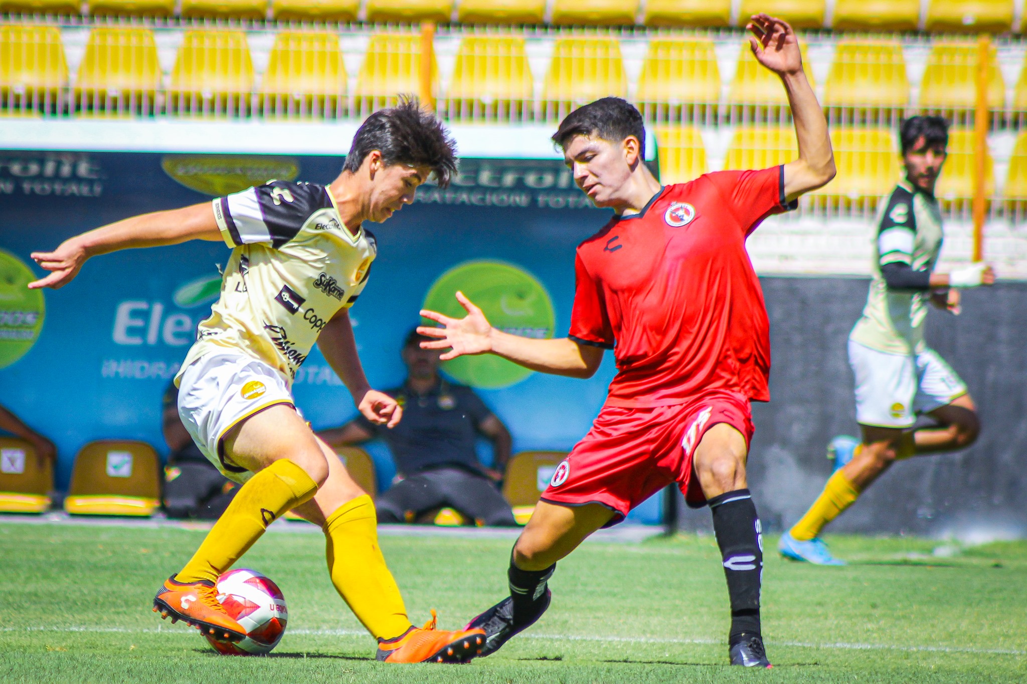 dords xolos buena foto