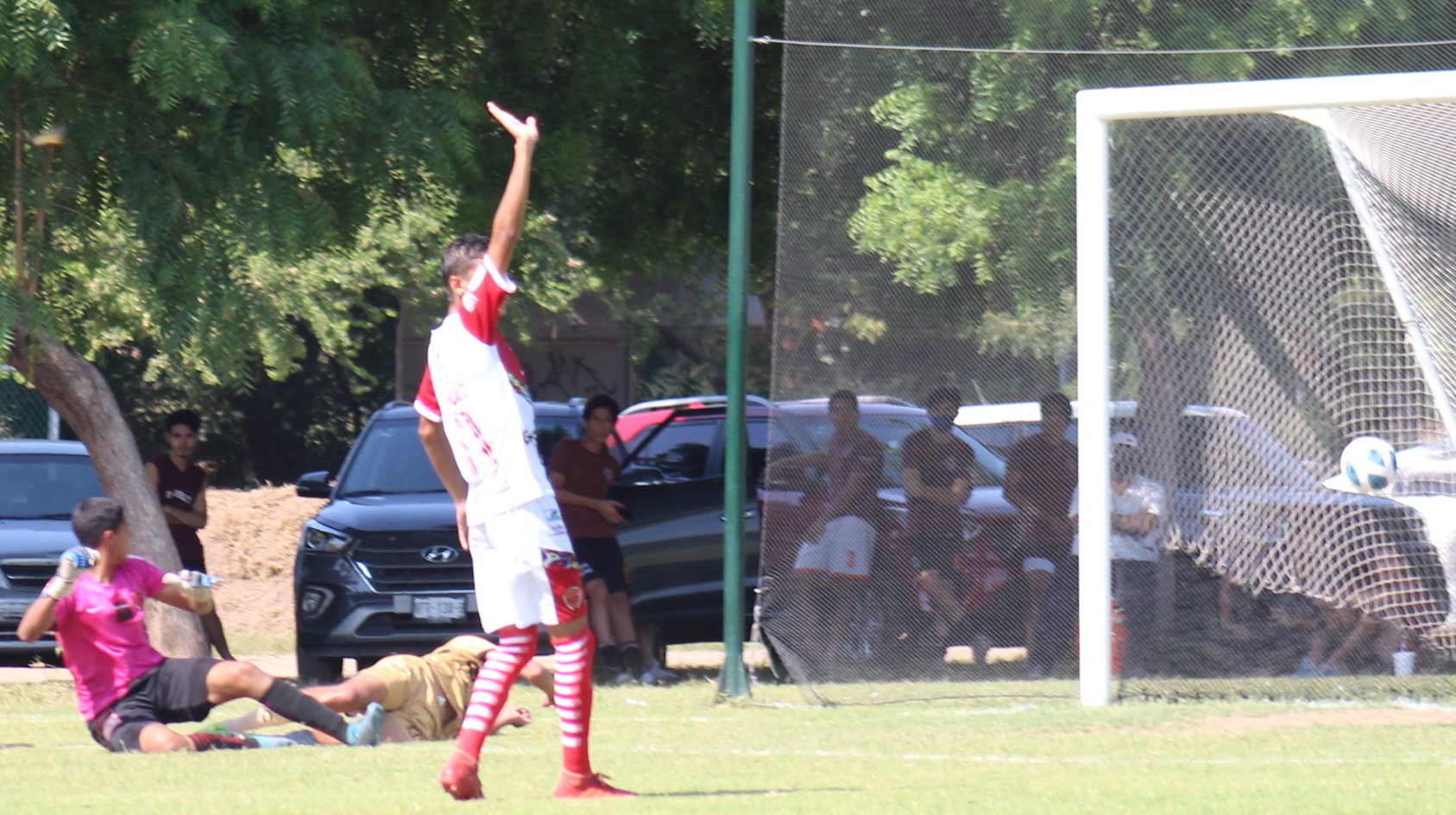 la pelota en el fondo