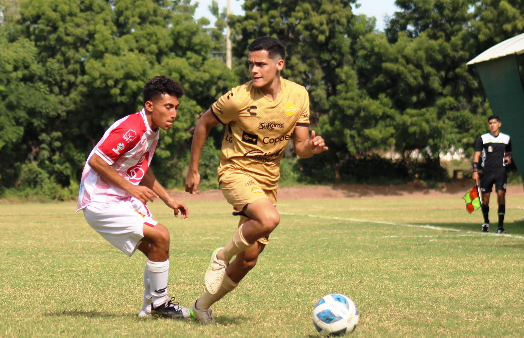 miguel jared diaz