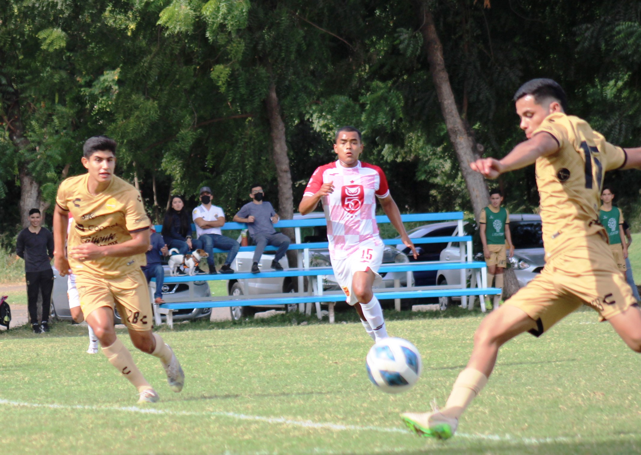 miguel y samuel dupla goleadora