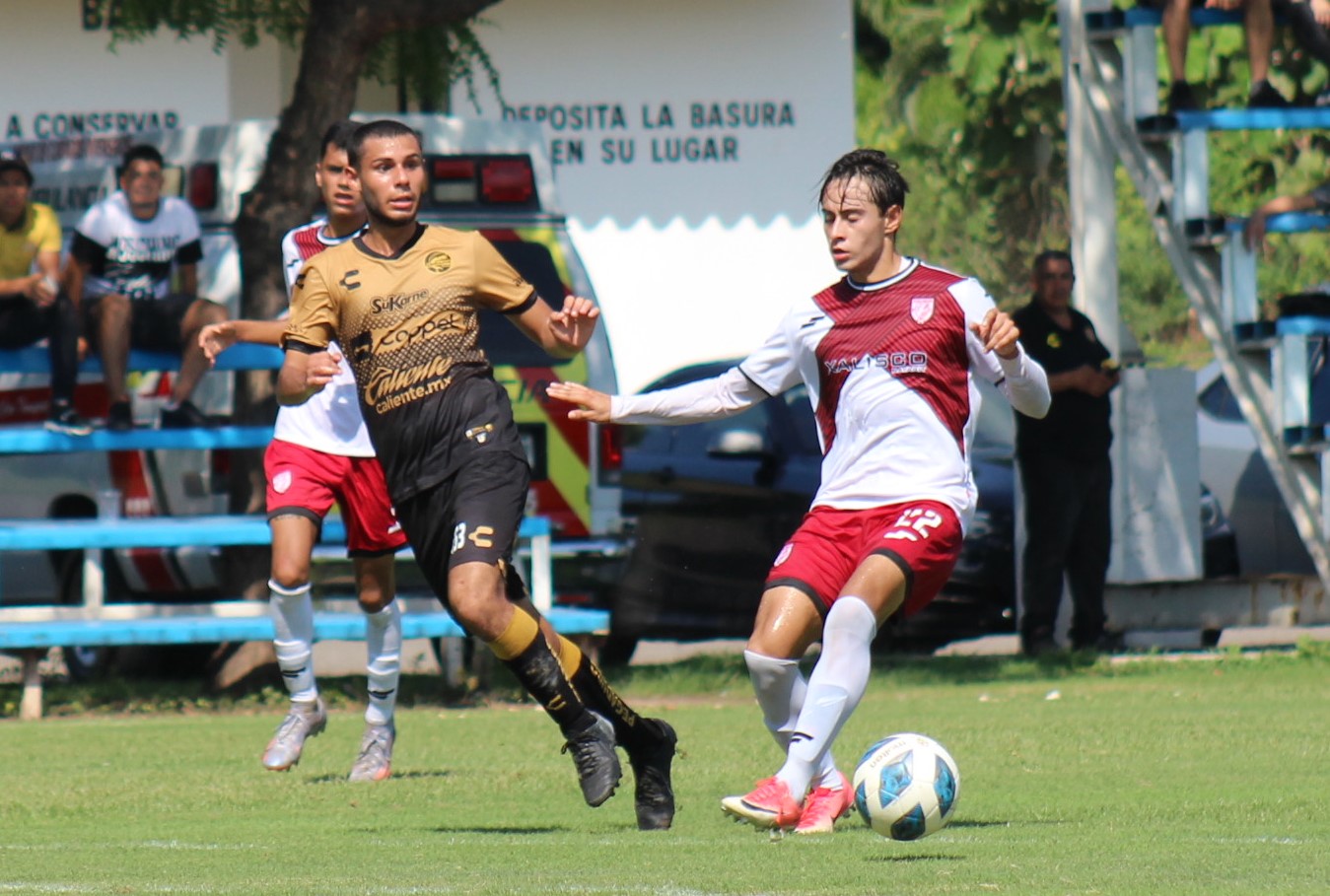 pelon ante xal