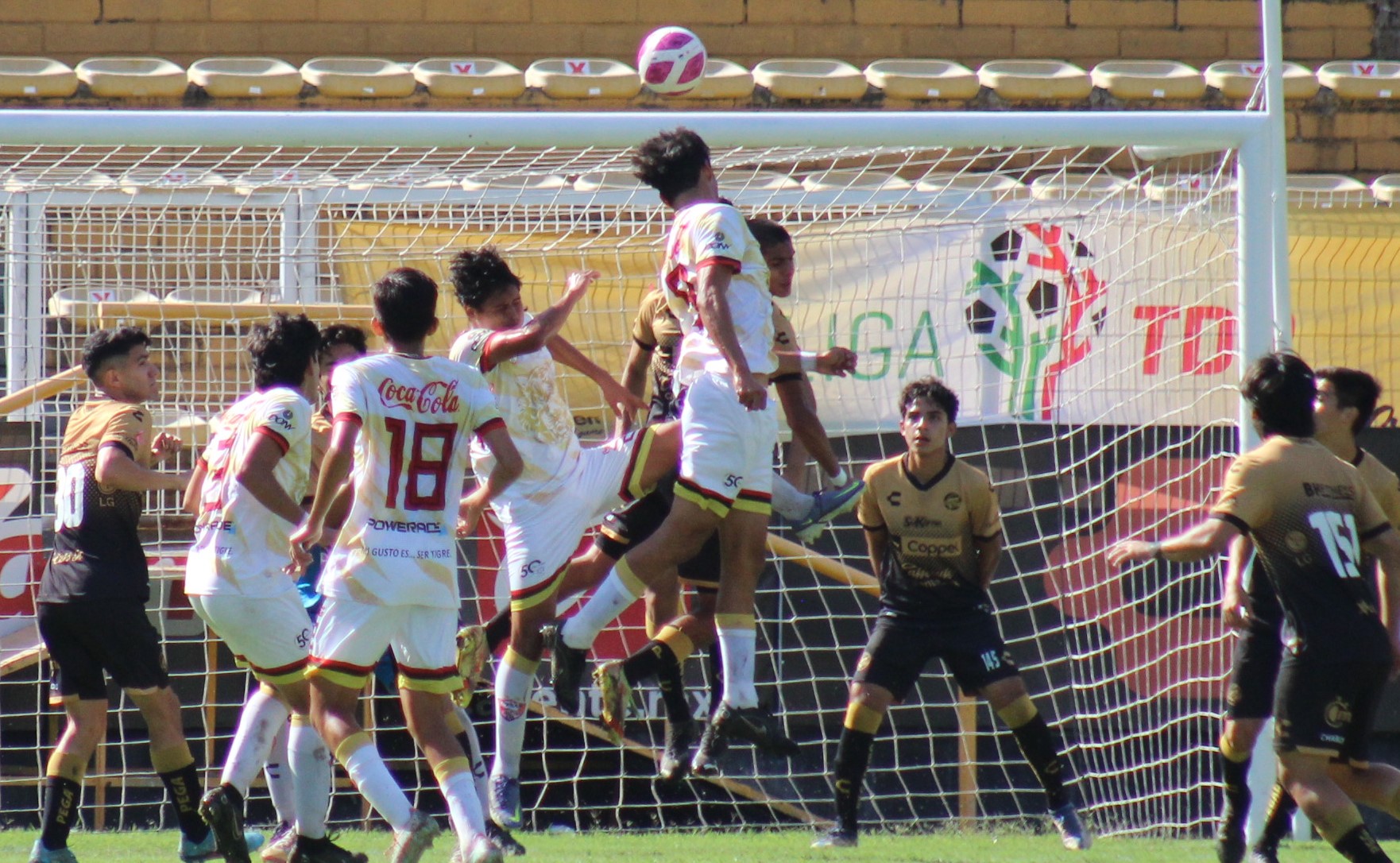 remate cabeza alica